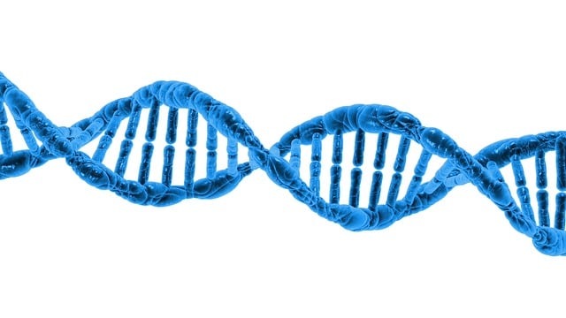 Trombastenia Glanzmanna – co to jest, objawy, diagnostyka